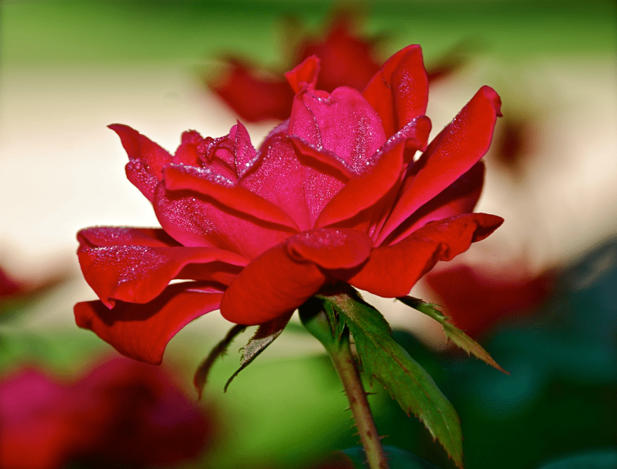 Screen Shot 2016-07-11 at 11.05.27 PM.png