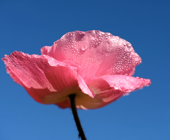 Screen shot 2014-05-10 at 1.26.16 PM