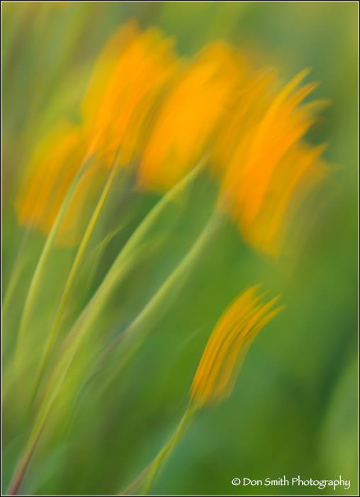 10345929_10152563889923083_4429594133977302_n