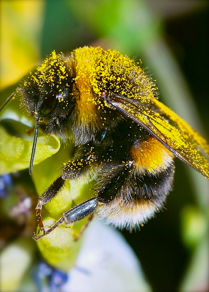 Screen shot 2014-07-04 at 3.53.13 PM