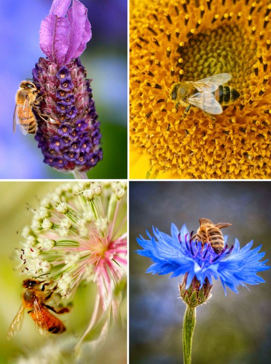 Screen shot 2014-07-05 at 1.42.33 PM