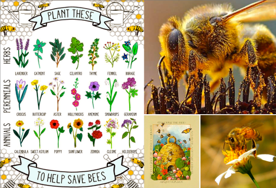 Screen shot 2014-07-05 at 1.51.48 PM