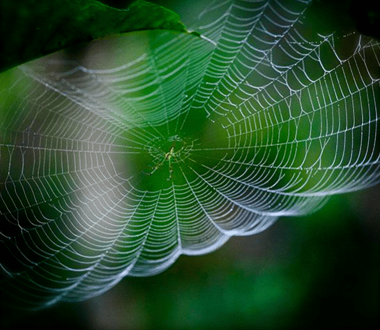 Screen shot 2014-07-08 at 1.44.51 PM