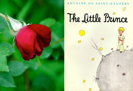 Screen shot 2014-07-08 at 5.30.21 PM