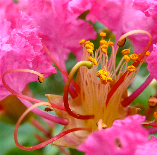 Screen shot 2014-07-24 at 12.40.12 PM