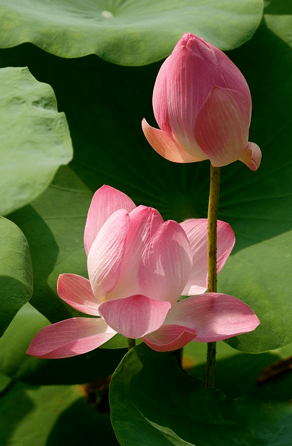 Screen shot 2014-07-28 at 2.42.14 PM