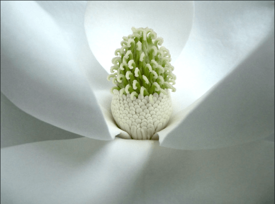 Screen shot 2014-07-29 at 11.40.54 AM