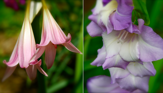 Screen shot 2014-07-31 at 3.05.29 PM