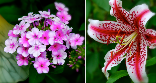 Screen shot 2014-07-31 at 3.09.03 PM