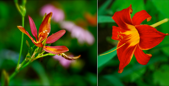 Screen shot 2014-07-31 at 3.12.24 PM