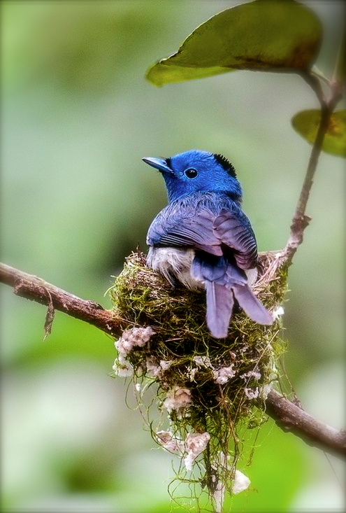 Screen shot 2014-08-07 at 4.30.12 PM