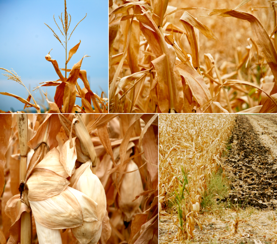 Screen shot 2014-08-10 at 3.02.34 PM