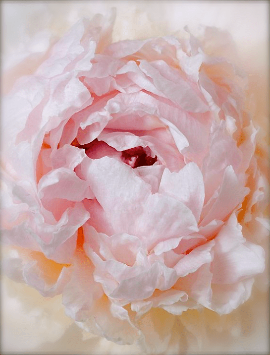 Screen shot 2014-08-18 at 7.05.20 PM