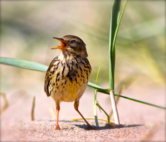 Screen shot 2014-08-18 at 7.20.13 PM