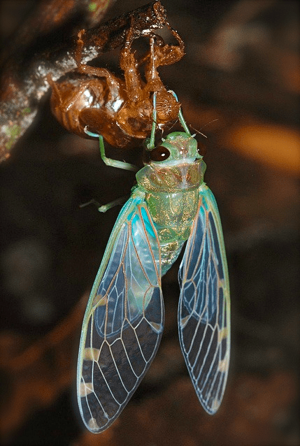 Screen shot 2014-08-18 at 7.27.04 PM