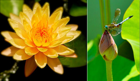 Screen shot 2014-08-21 at 12.46.01 PM