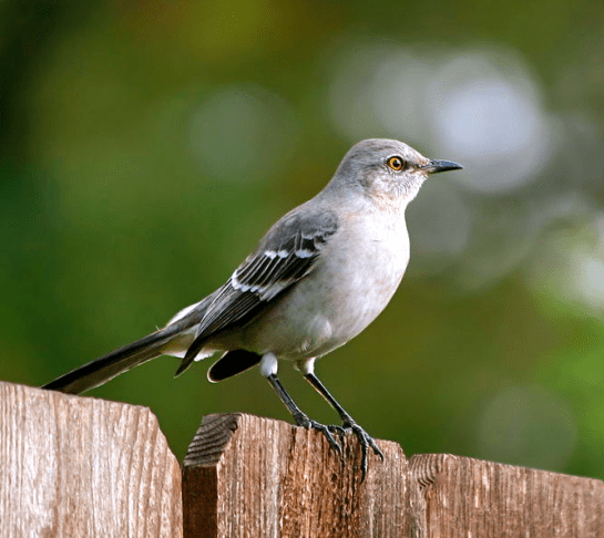 Screen shot 2014-08-24 at 4.37.01 PM