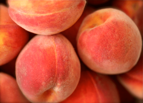 Screen shot 2014-08-27 at 2.33.53 PM