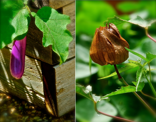 Screen shot 2014-08-29 at 2.43.26 PM