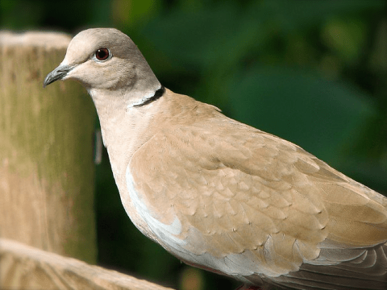 Screen shot 2014-08-31 at 2.28.59 PM