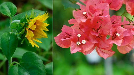 Screen shot 2014-09-03 at 2.13.44 PM