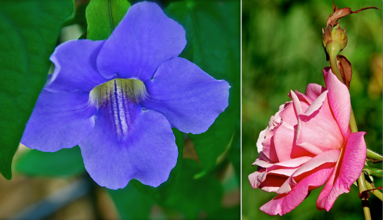 Screen shot 2014-09-03 at 2.38.02 PM