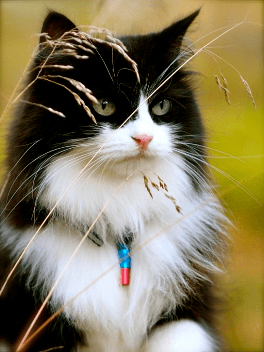 Screen shot 2014-09-04 at 12.47.27 PM