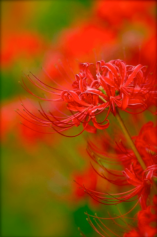 Screen shot 2014-09-09 at 6.19.06 PM