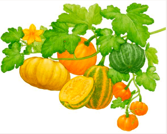 Screen shot 2014-09-10 at 4.27.02 PM