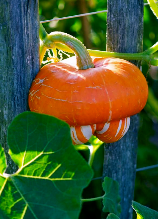 Screen shot 2014-09-10 at 4.28.32 PM