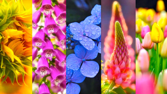 Screen shot 2014-09-11 at 5.17.09 PM