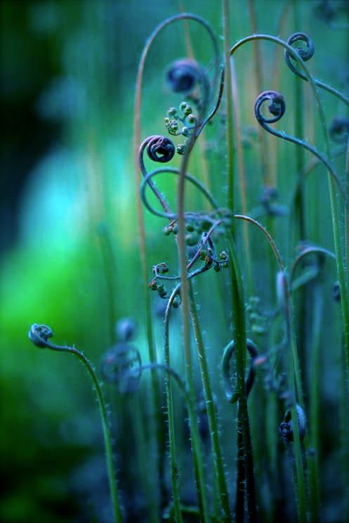 Screen shot 2014-09-18 at 12.49.08 PM