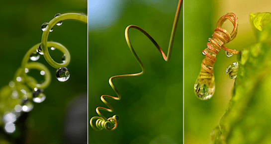 Screen shot 2014-09-18 at 2.17.41 PM