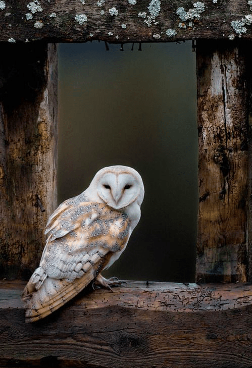 Screen shot 2014-09-19 at 2.53.39 PM