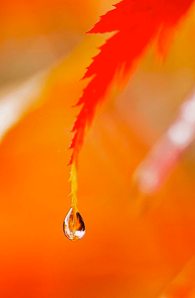 Screen shot 2014-09-21 at 2.07.54 PM