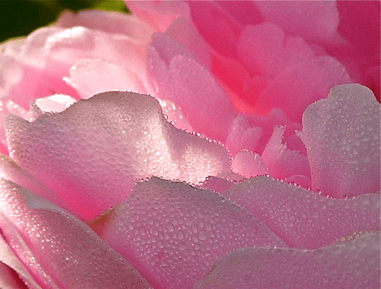 Screen shot 2014-09-21 at 2.32.13 PM