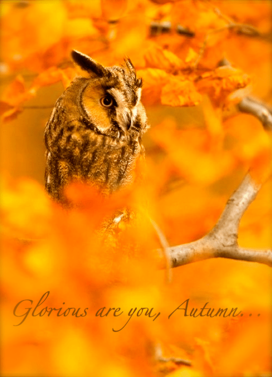 Screen shot 2014-09-23 at 9.11.02 AM