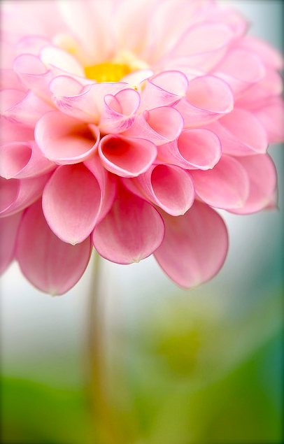 Screen shot 2014-09-24 at 2.57.24 PM