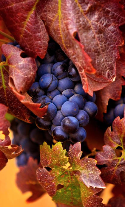 Screen shot 2014-09-28 at 1.59.18 AM