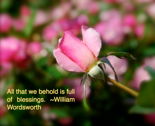 Screen shot 2014-09-30 at 9.54.29 AM