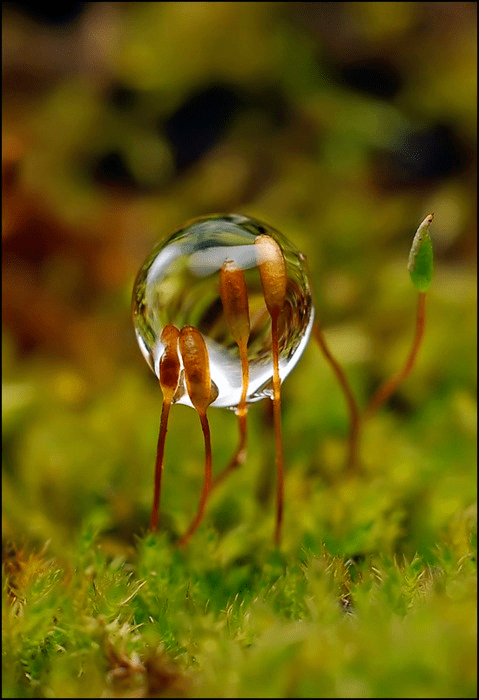 Screen shot 2014-10-07 at 3.30.46 PM