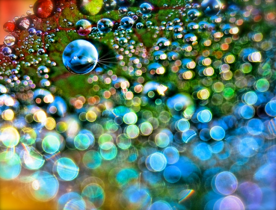 Screen shot 2014-10-08 at 5.57.10 PM