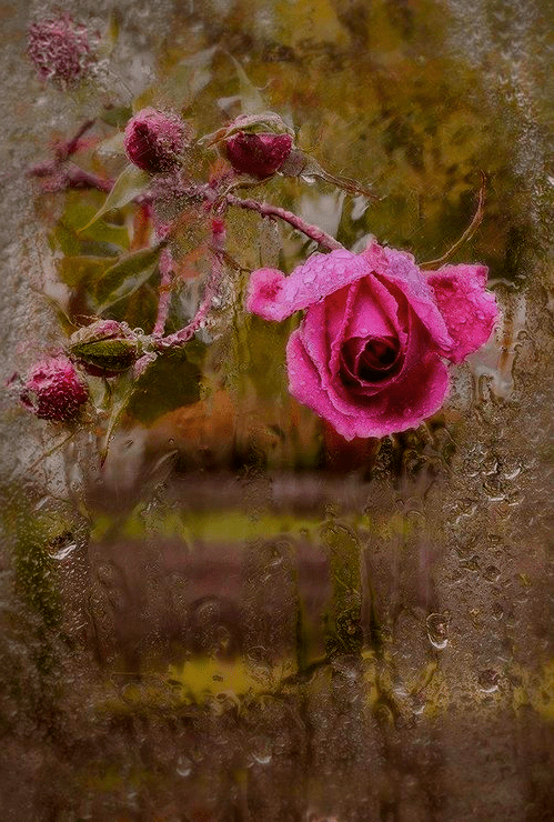 Screen shot 2014-10-13 at 3.47.32 PM