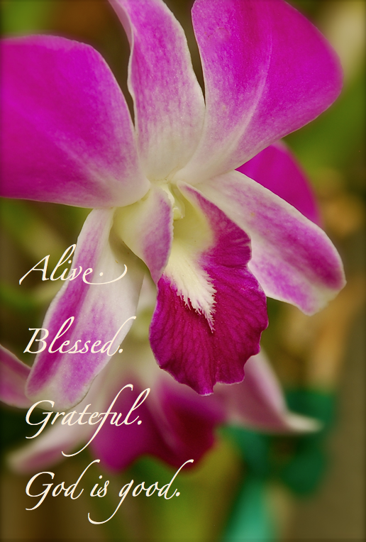 Screen shot 2014-10-18 at 3.41.18 PM