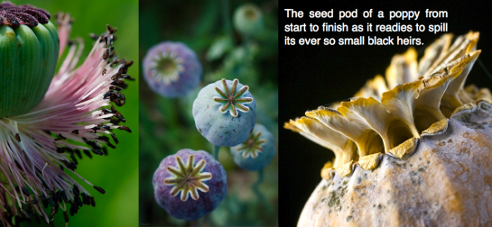 Screen shot 2014-10-21 at 9.28.06 AM