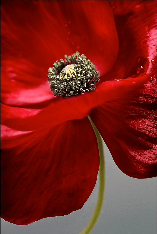 Screen shot 2014-10-21 at 9.46.08 AM