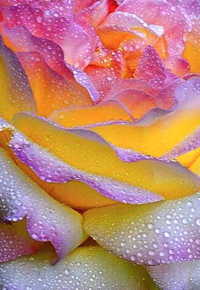 Screen shot 2014-10-22 at 10.39.37 PM