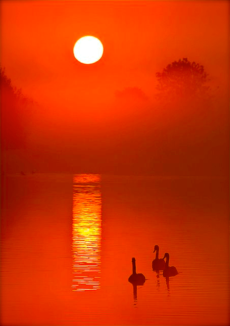 Screen shot 2014-10-23 at 10.22.50 PM