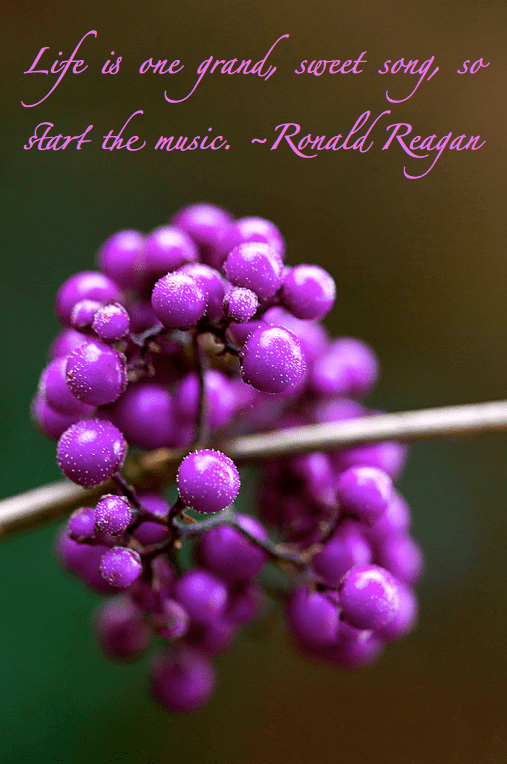 Screen shot 2014-10-25 at 1.51.46 PM