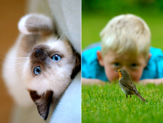 Screen shot 2014-10-28 at 3.10.19 PM